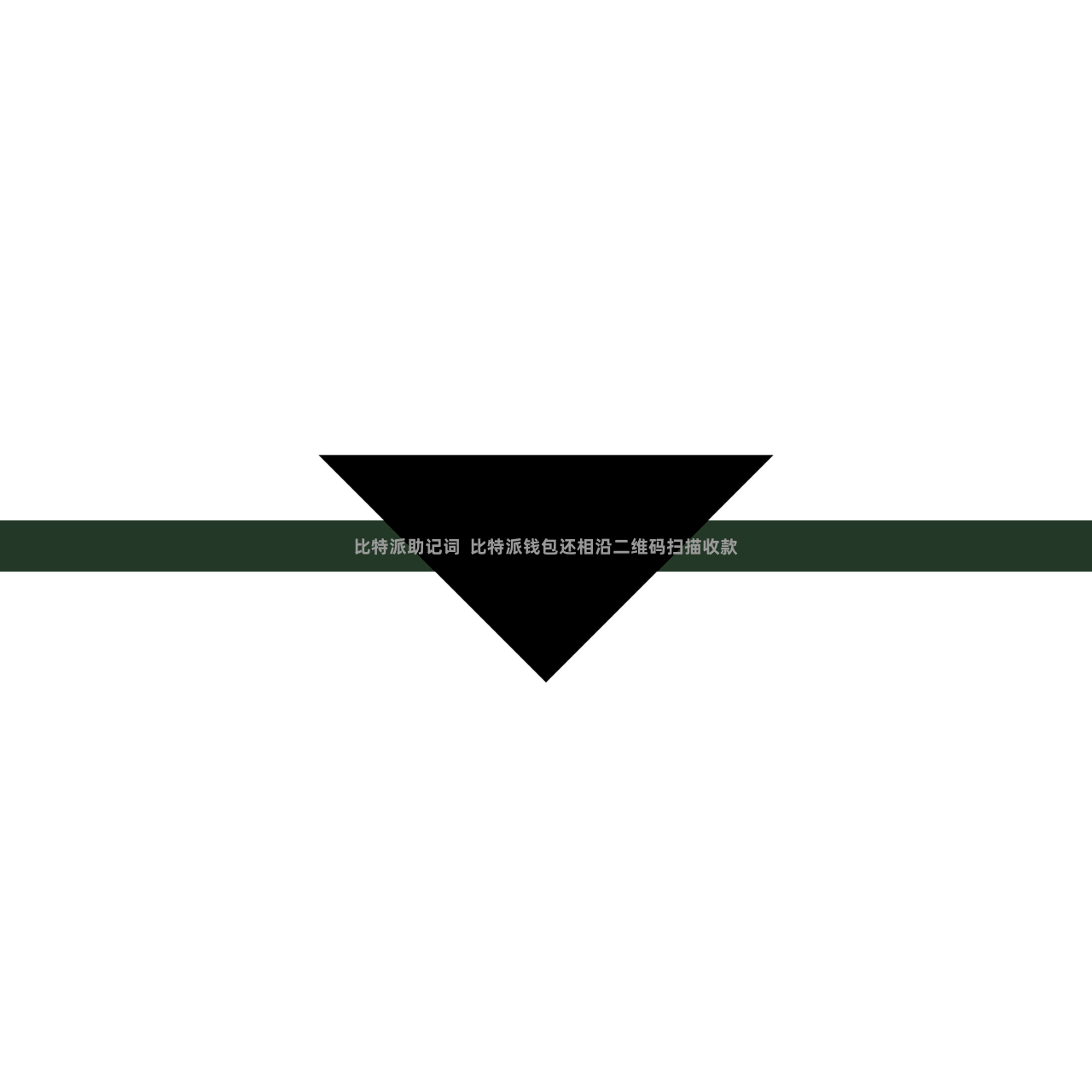 比特派助记词 比特派钱包还相沿二维码扫描收款