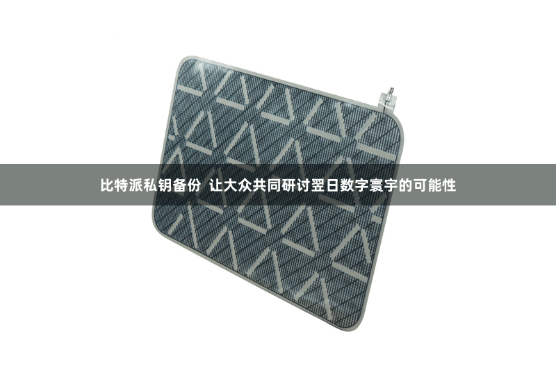 比特派私钥备份  让大众共同研讨翌日数字寰宇的可能性