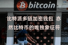 比特派多链加密钱包  亦然比特币的唯独象征符