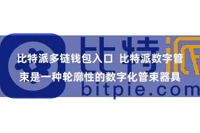 比特派多链钱包入口  比特派数字管束是一种轮廓性的数字化管束器具