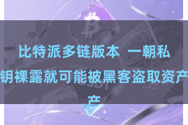 比特派多链版本  一朝私钥裸露就可能被黑客盗取资产