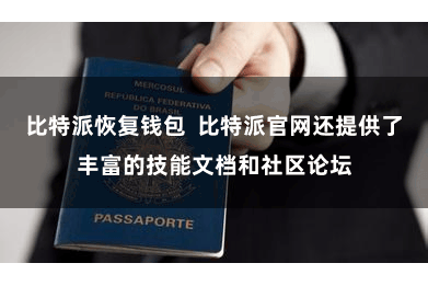 比特派恢复钱包  比特派官网还提供了丰富的技能文档和社区论坛